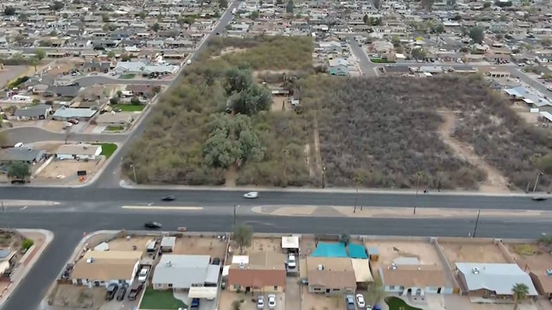 The Phoenix City Council has voted to force the sale of a 10-acre property near 67th Avenue...
