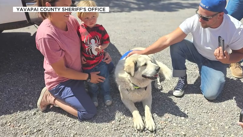 A toddler is reunited with the dog credited with his rescue in northern Arizona.