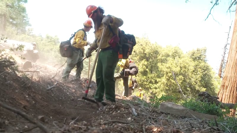 Arizona wildfire crews could be impacted by government layoffs.