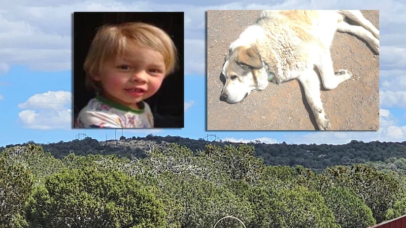A dog named Buford is credited with helping a 2-year-old boy to safety after he walked away...