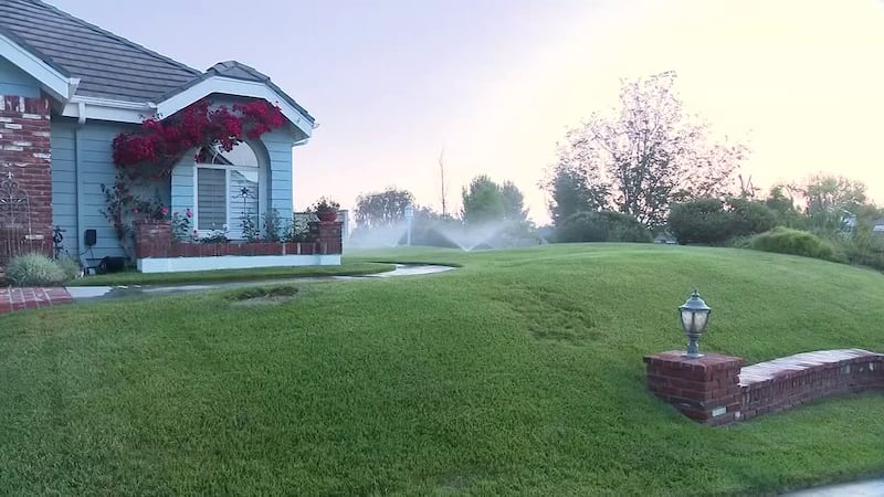 Qualifying homeowners can earn $2 per square foot of grass replaced.