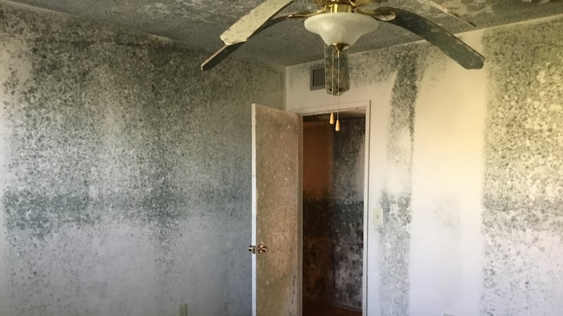 Without knowing it, a lot of people live in unhealthy houses in southern Arizona due to mold.