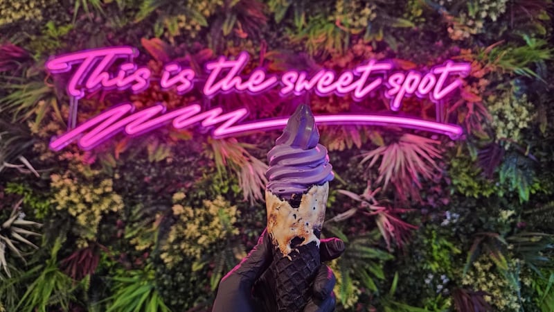 For an even sweeter experience, try the ice cream with a torched cone.