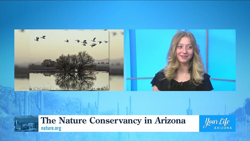 Nature Conservancy Photo Contest Winner